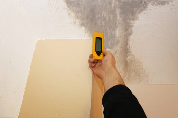 Best Forensic Mold Investigation  in Clayton, NJ